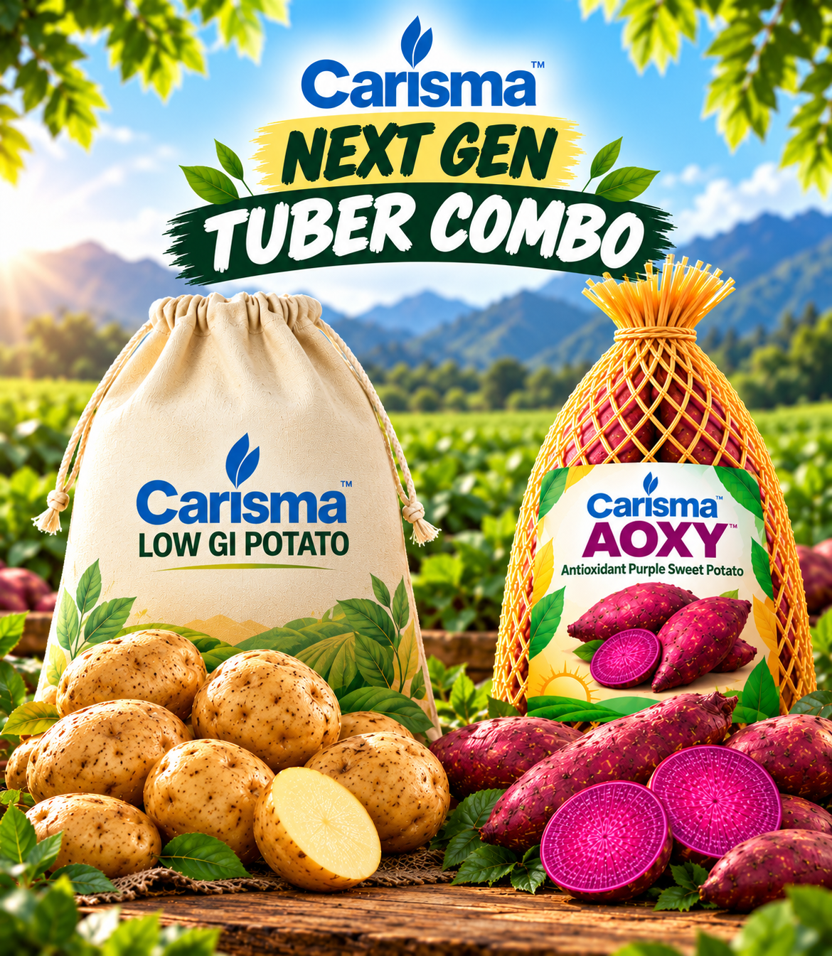 Carisma Next-Gen Tuber Combo – 3 kg Low GI Potato + 2 kg Sweet Potato