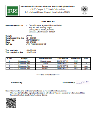 IRRI Lab Report